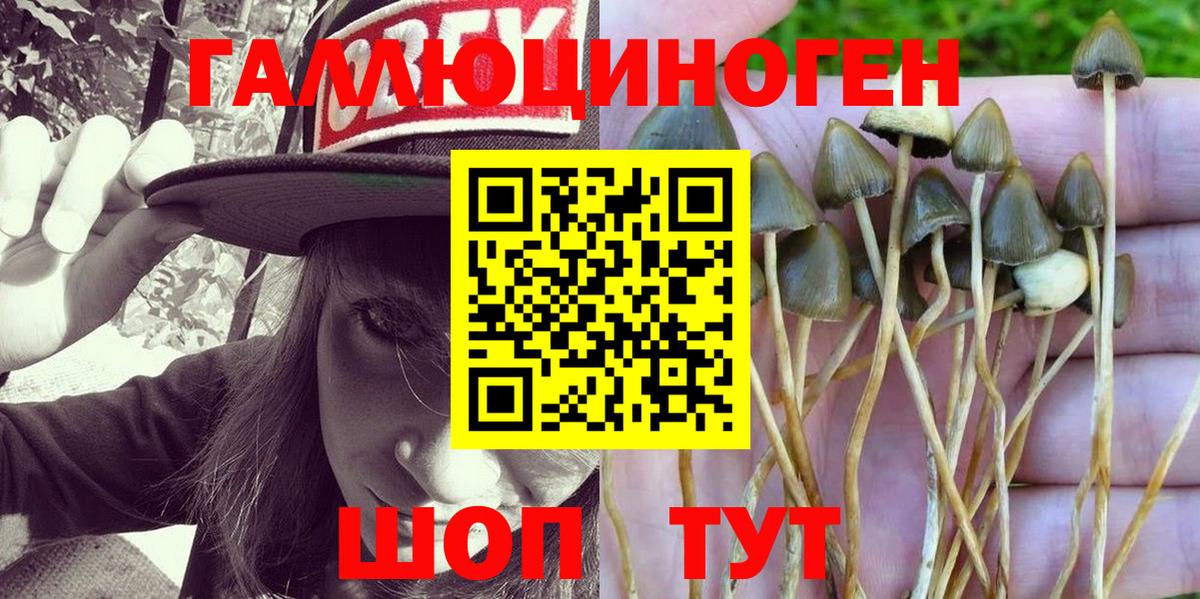 Псилоцибиновые грибы MAGIC MUSHROOMS  Вход с VPN  Михайловск 